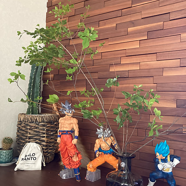 misanさんの実例写真