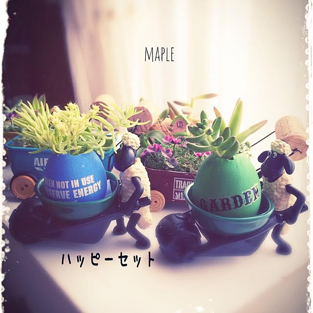 mapleさんの実例写真