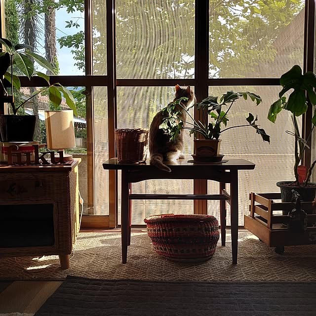 fukuさんの部屋