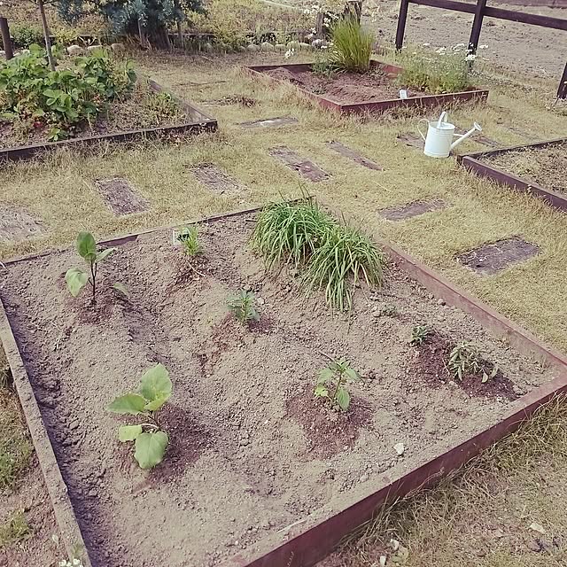180447hiroさんの実例写真