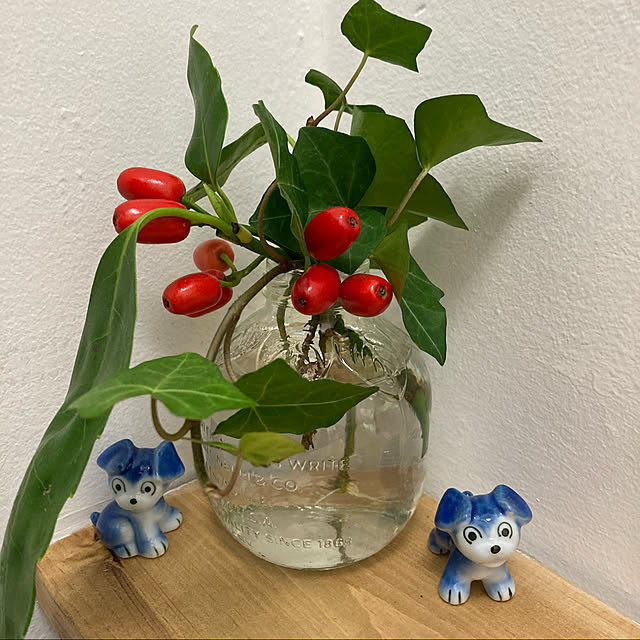 erinaさんの実例写真