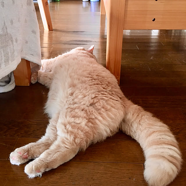 naokoさんの部屋