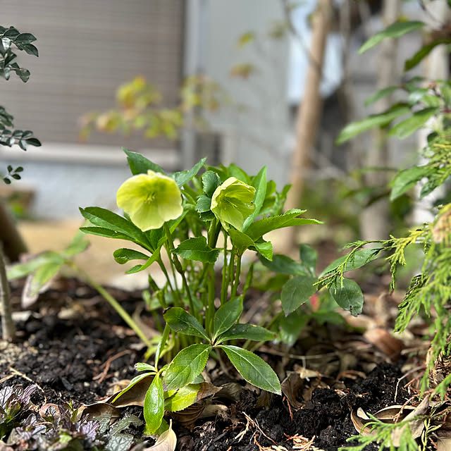 porinさんの部屋