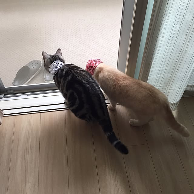 y.k.0123さんの実例写真