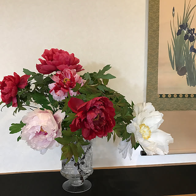 momoさんの実例写真