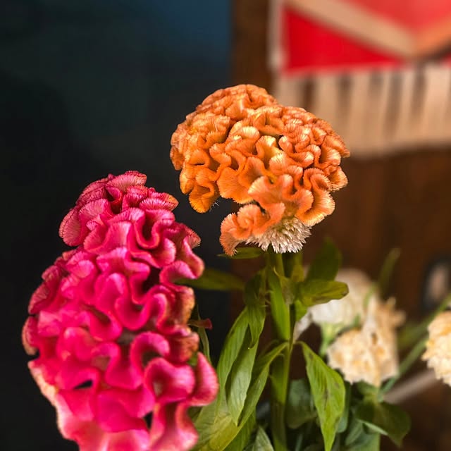 cafe0415hさんの実例写真