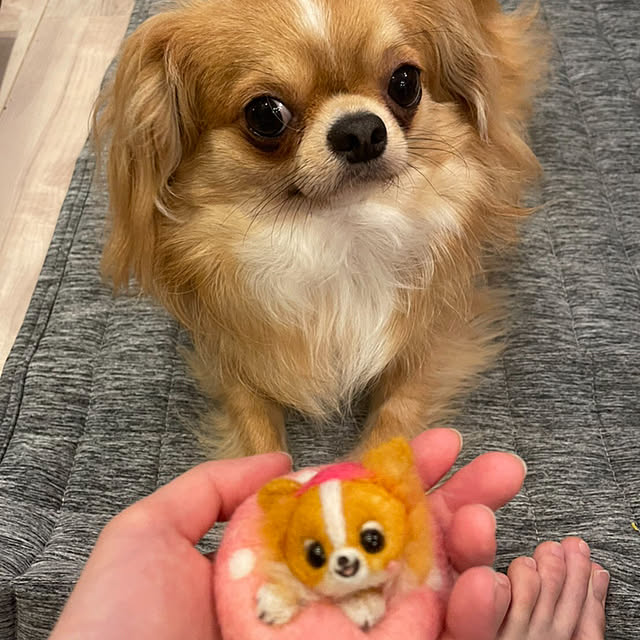 haruさんの実例写真
