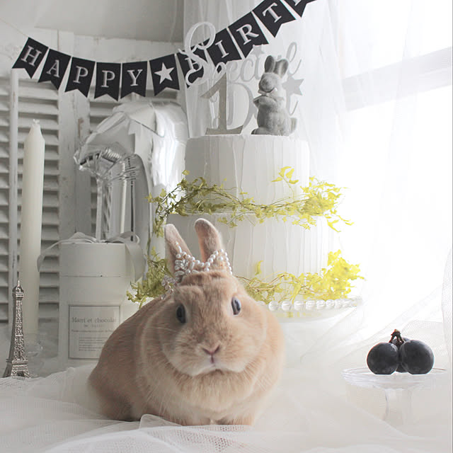 marriさんの実例写真