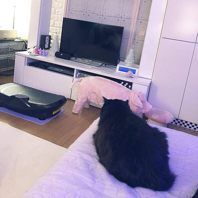 kanaさんの実例写真