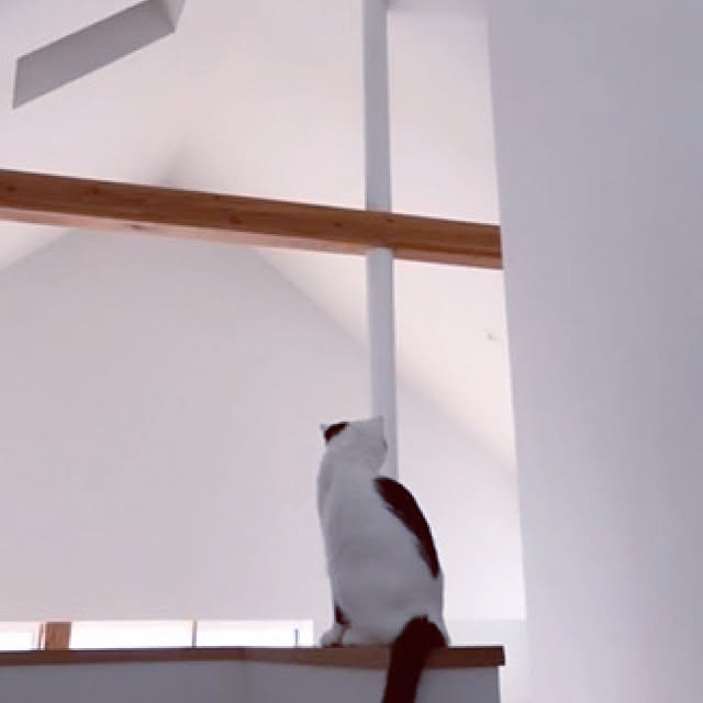 td.hsさんの実例写真