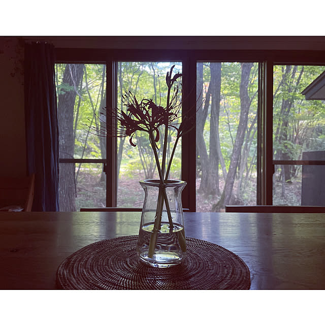 marucoさんの部屋