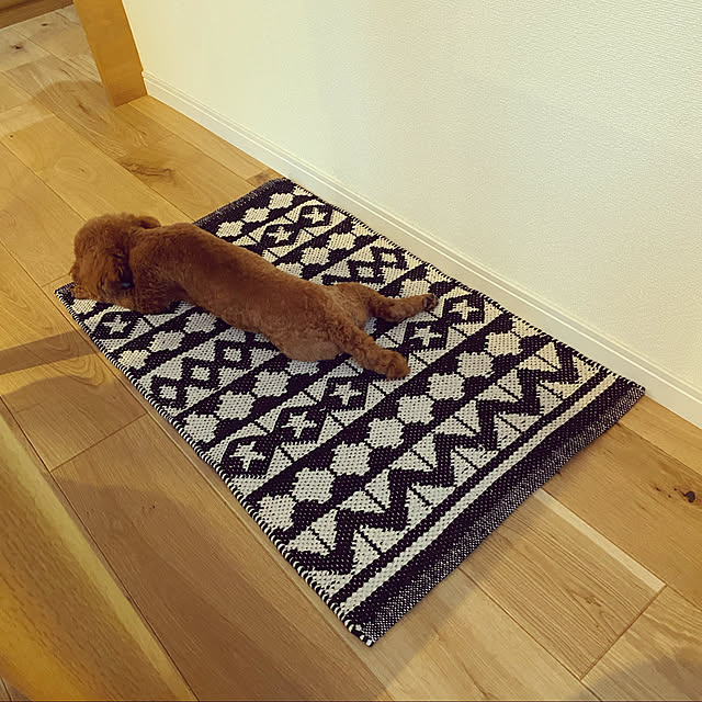 dangoさんの実例写真