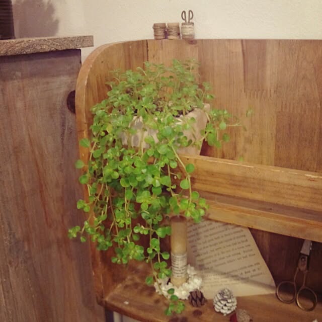 kokkomachaさんの実例写真