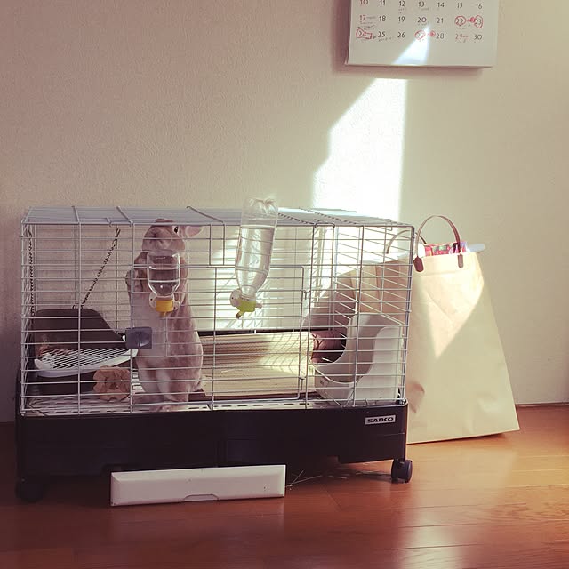 fruity anさんの実例写真