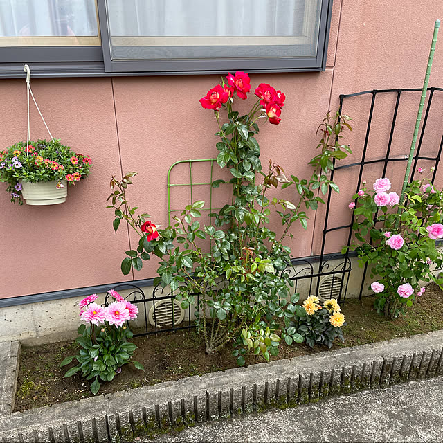 kakoさんの実例写真