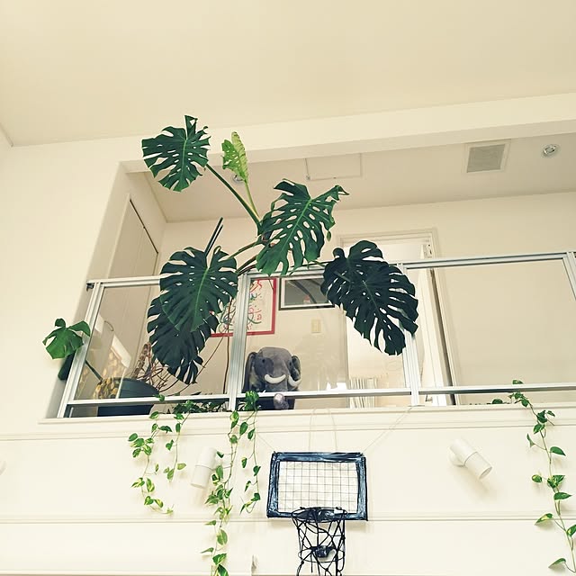 urchinさんの部屋