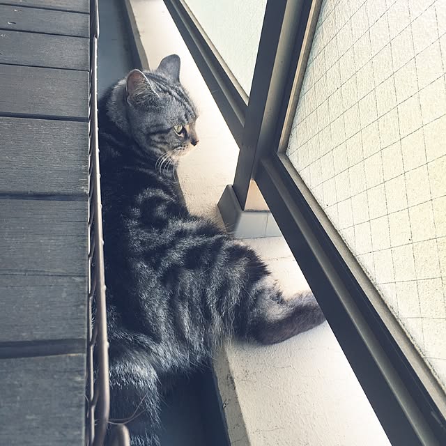 hiyupan88さんの実例写真