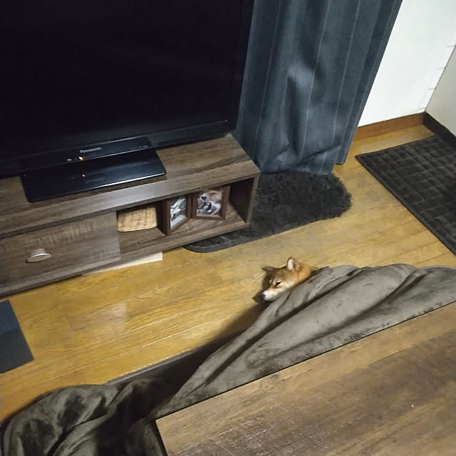 msk428815さんの実例写真
