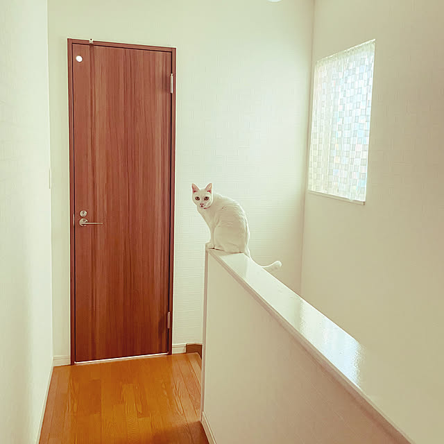 Maiさんの実例写真