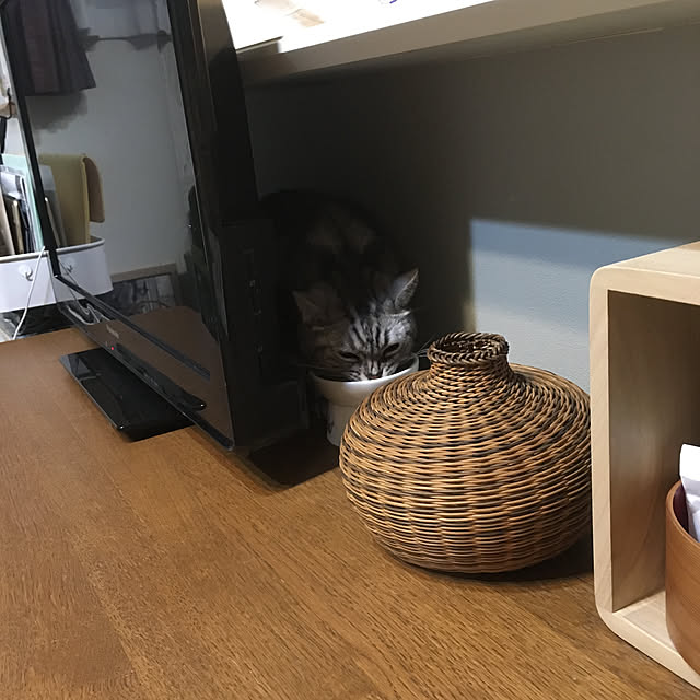 mikomaruさんの実例写真