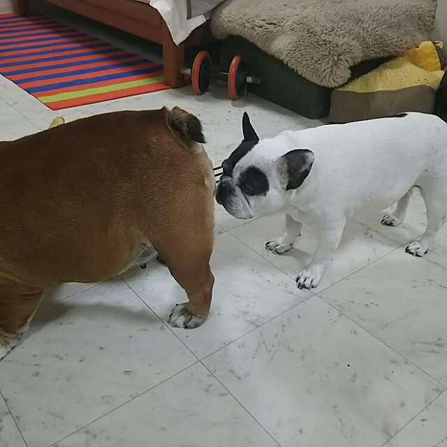 AandPさんの実例写真