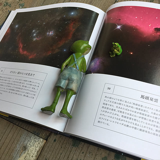 unataroさんの実例写真