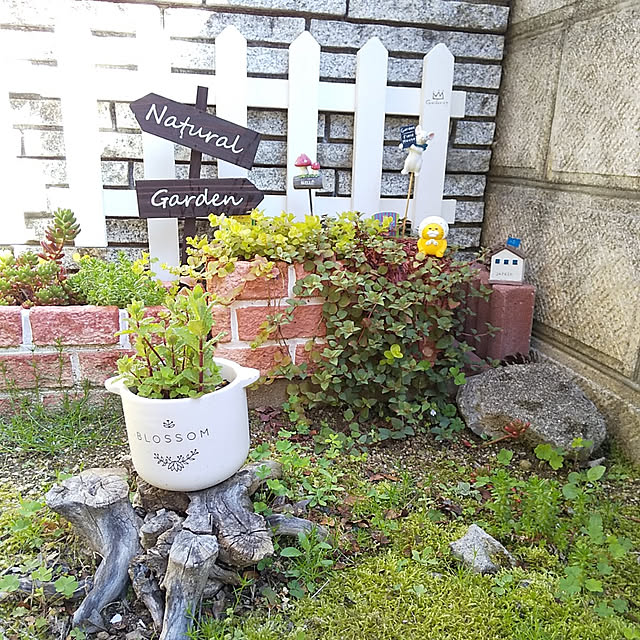 25Moondropsさんの実例写真