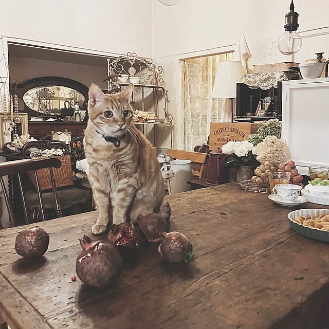 ataさんの実例写真