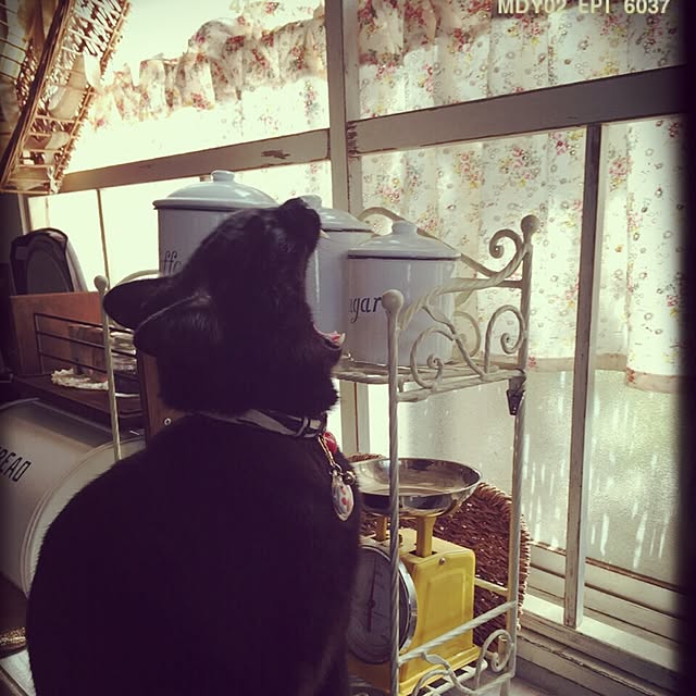 latteさんの実例写真