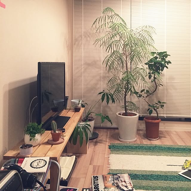 itou.kazutoさんの実例写真