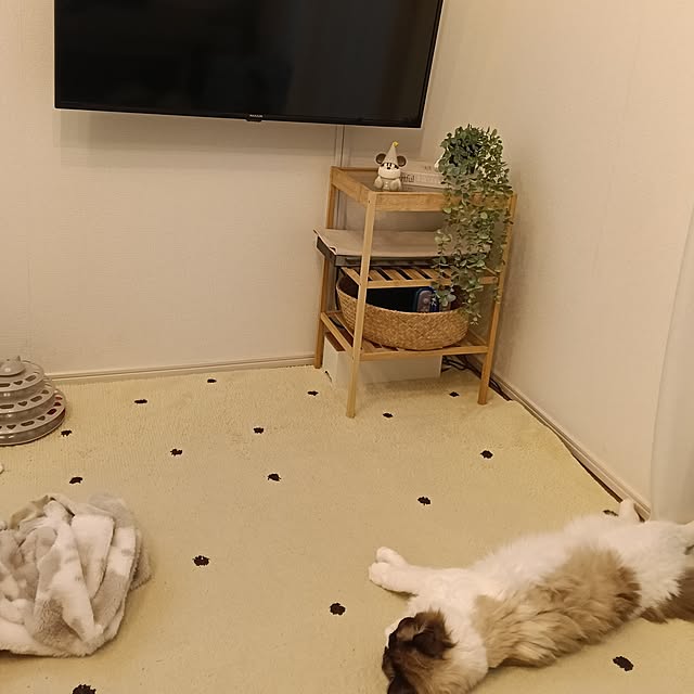 ouchi__...さんの実例写真