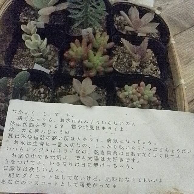 mikiさんの実例写真