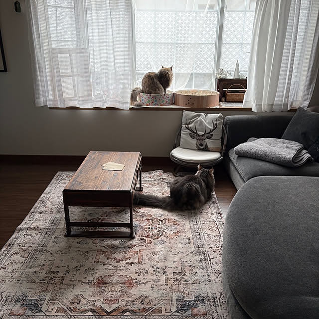 mayumiさんの部屋