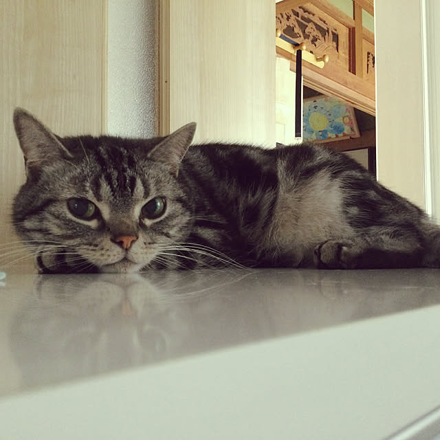 richanさんの実例写真
