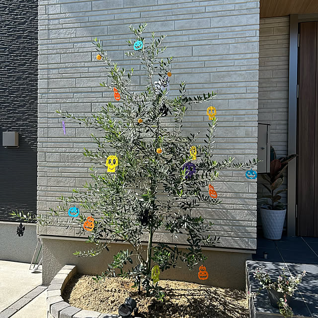 miffy.0044さんの実例写真