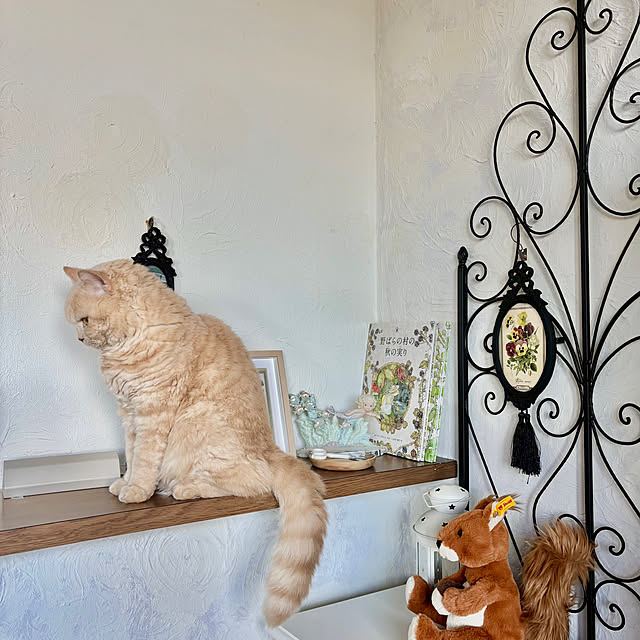 naokoさんの部屋