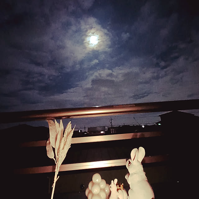 rikuerinka86さんの実例写真