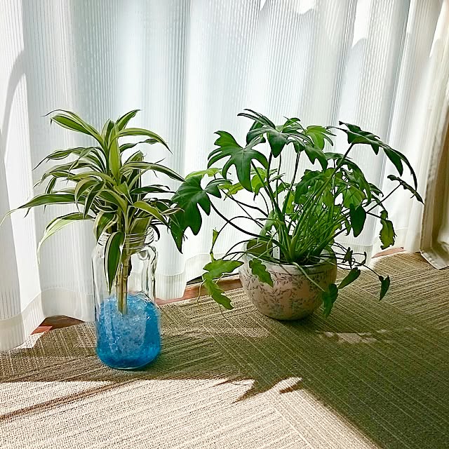 na-omochiさんの実例写真