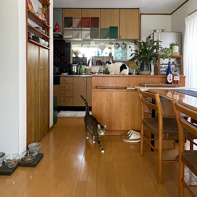 nobikoさんの部屋
