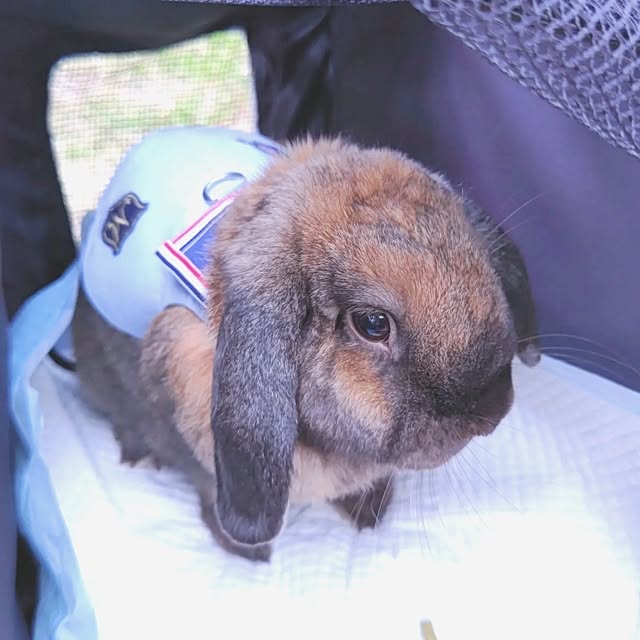 mariaさんの部屋