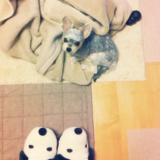 seicoさんの実例写真