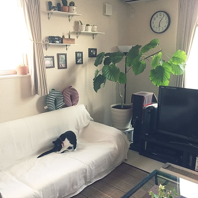 kirinさんの実例写真