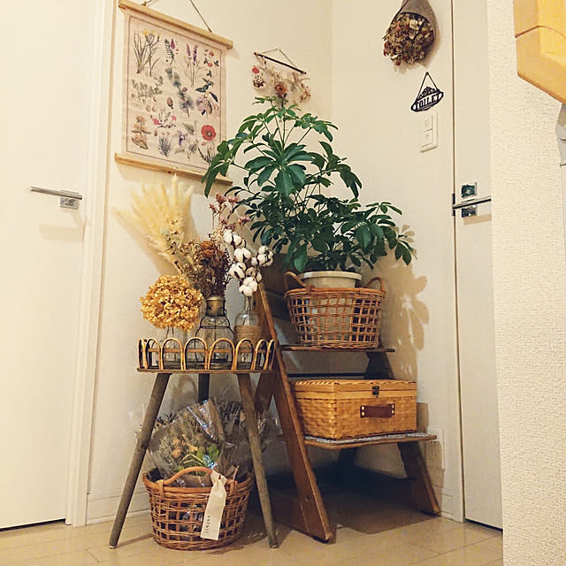 Sanaeさんの実例写真