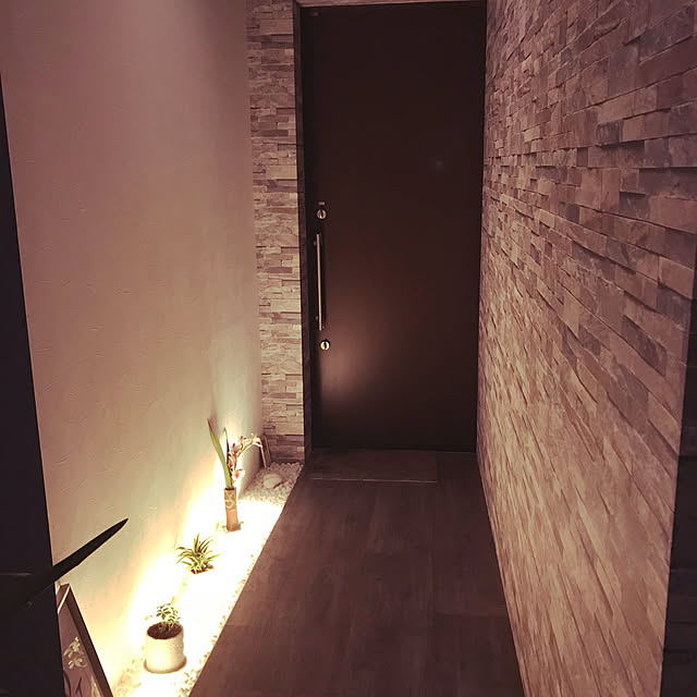 玄関/入り口のインテリア実例 - 2019-10-10 22:33:19