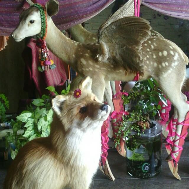 musinosekaiさんの実例写真
