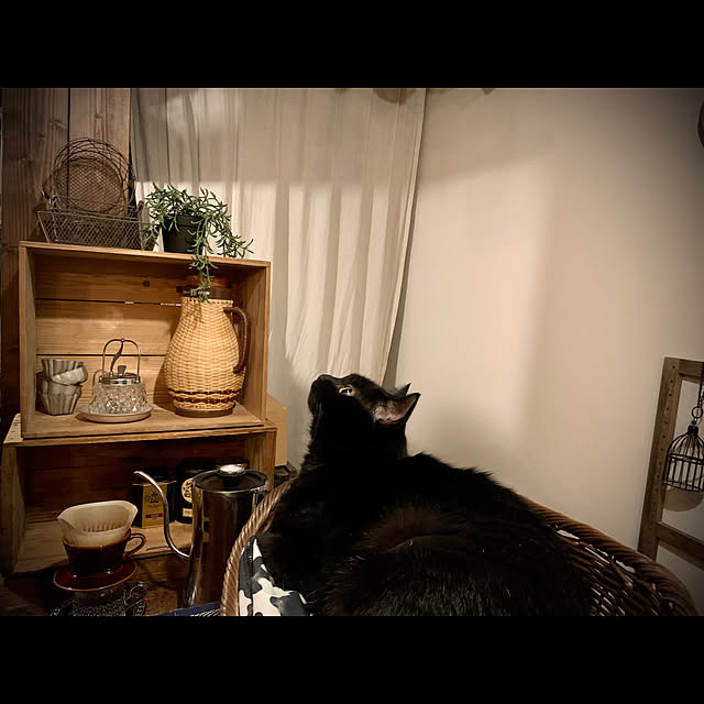 mecchaさんの実例写真