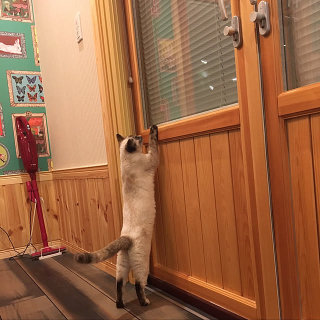 Moricさんの実例写真