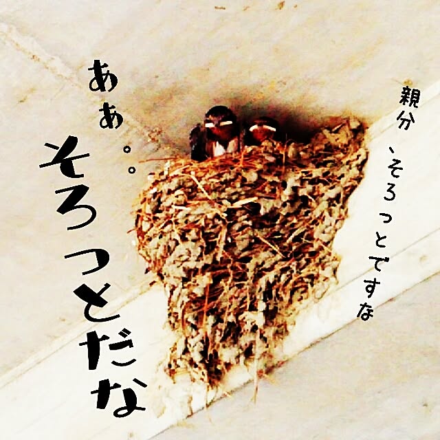 Chomeakiさんの実例写真