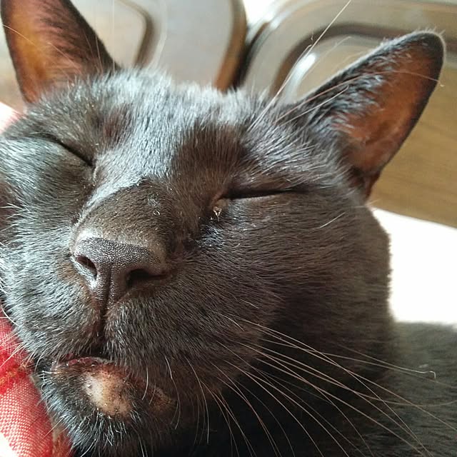 mametarouさんの実例写真