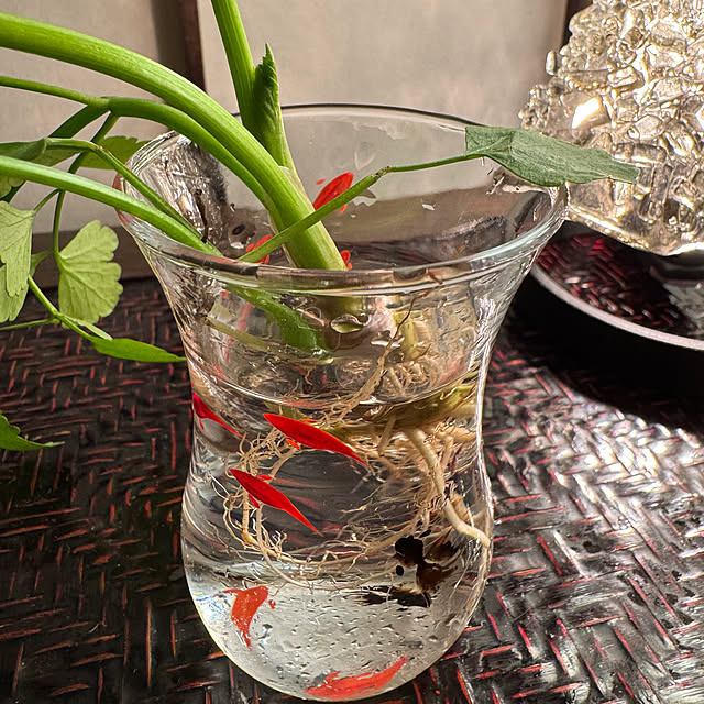 mamizaさんの部屋